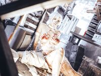 Asian - Qiuhekeji 110 Wax Play - Photos 110 Play Wax Qiuhekeji Chinese