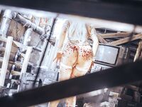 Asian - Qiuhekeji 110 Wax Play - Photos 110 Play Wax Qiuhekeji Chinese