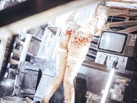Asian - Qiuhekeji 110 Wax Play - Photos 110 Play Wax Qiuhekeji Chinese