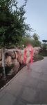 Amateur Photos - Casada Calentita Photo - Amateur Casada Calentita Photos Onlyfans Leaked Photos
