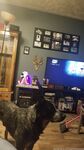 Amateur Amateur - Hatchbackhoe Photo - Hatchbackhoe Amateur Photos Onlyfans Leaked Photos