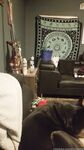 Amateur Amateur - Hatchbackhoe Photo - Hatchbackhoe Amateur Photos Onlyfans Leaked Photos