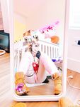 Onlyfans Leaked Photos - Lanabee Photo - Amateur Lanabee Photos