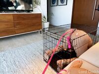 Onlyfans Leaked Photos - Lordmaria Photo - Amateur Photos Lordmaria