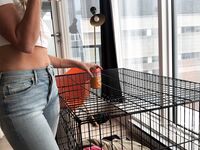 Onlyfans Leaked Photos - Lordmaria Photo - Amateur Photos Lordmaria