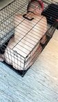Onlyfans Leaked Photos - Lordmaria Photo - Amateur Photos Lordmaria