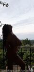 Onlyfans Leaked Photos - Lunaamor Photo - Amateur Lunaamor Photos