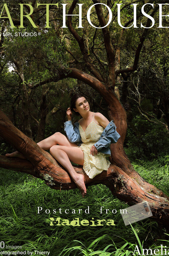 Postcard From Photos 2024-10-09 Amelia Mplstudios Madeira